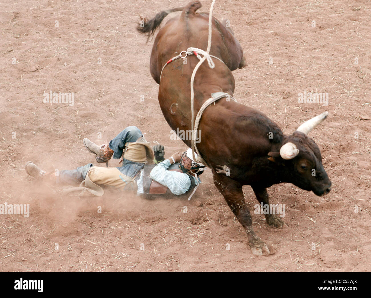 Concurrent portant sur le sol après une chute au cours de l'événement de la monte de taureau à l'assemblée annuelle tenue à rodéo indien, Mescalero Mexi Nouveau Banque D'Images
