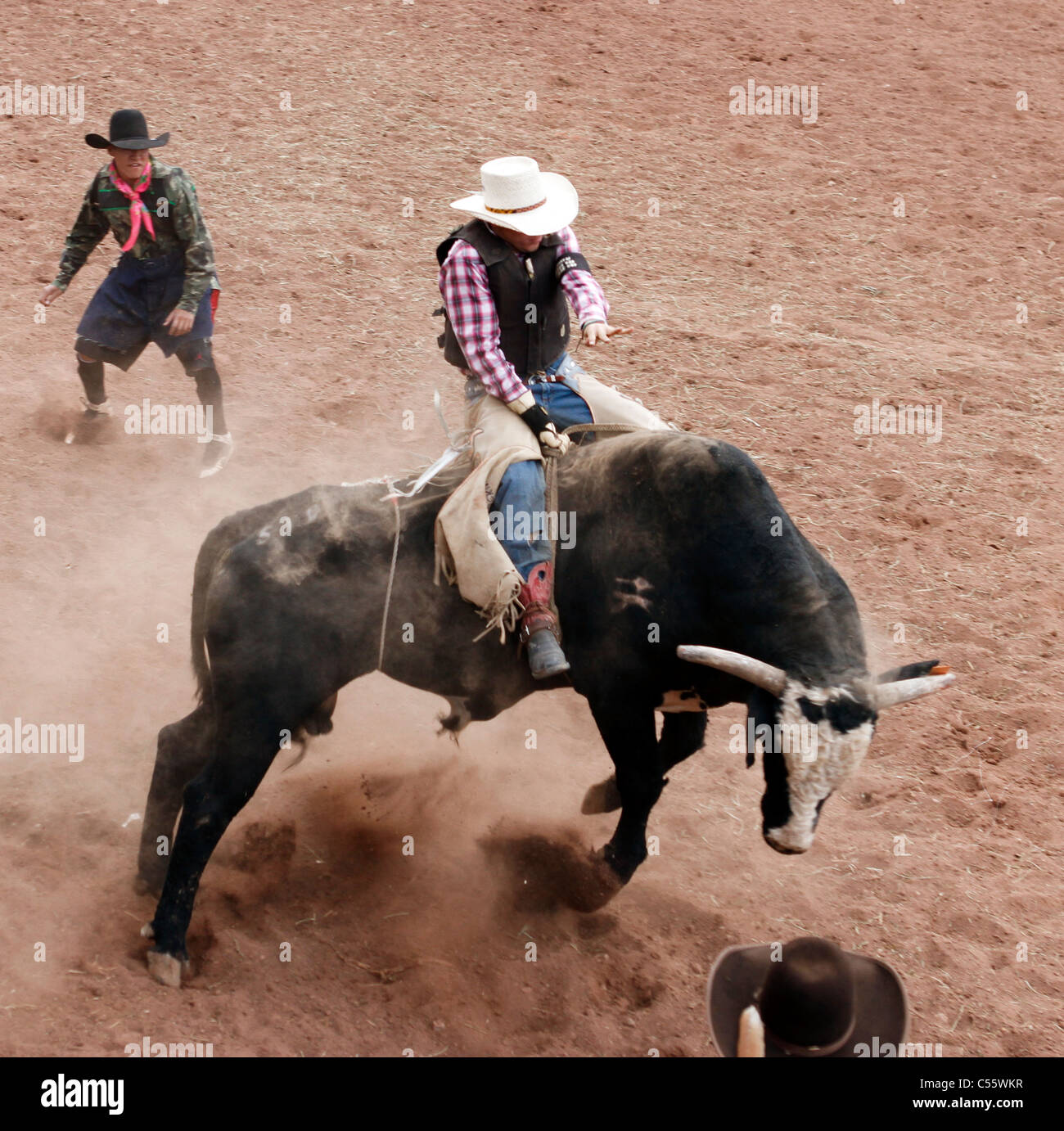 Concurrent sur le bull riding événement au rodéo indien annuel tenu à Mescalero, Nouveau Mexique. Banque D'Images