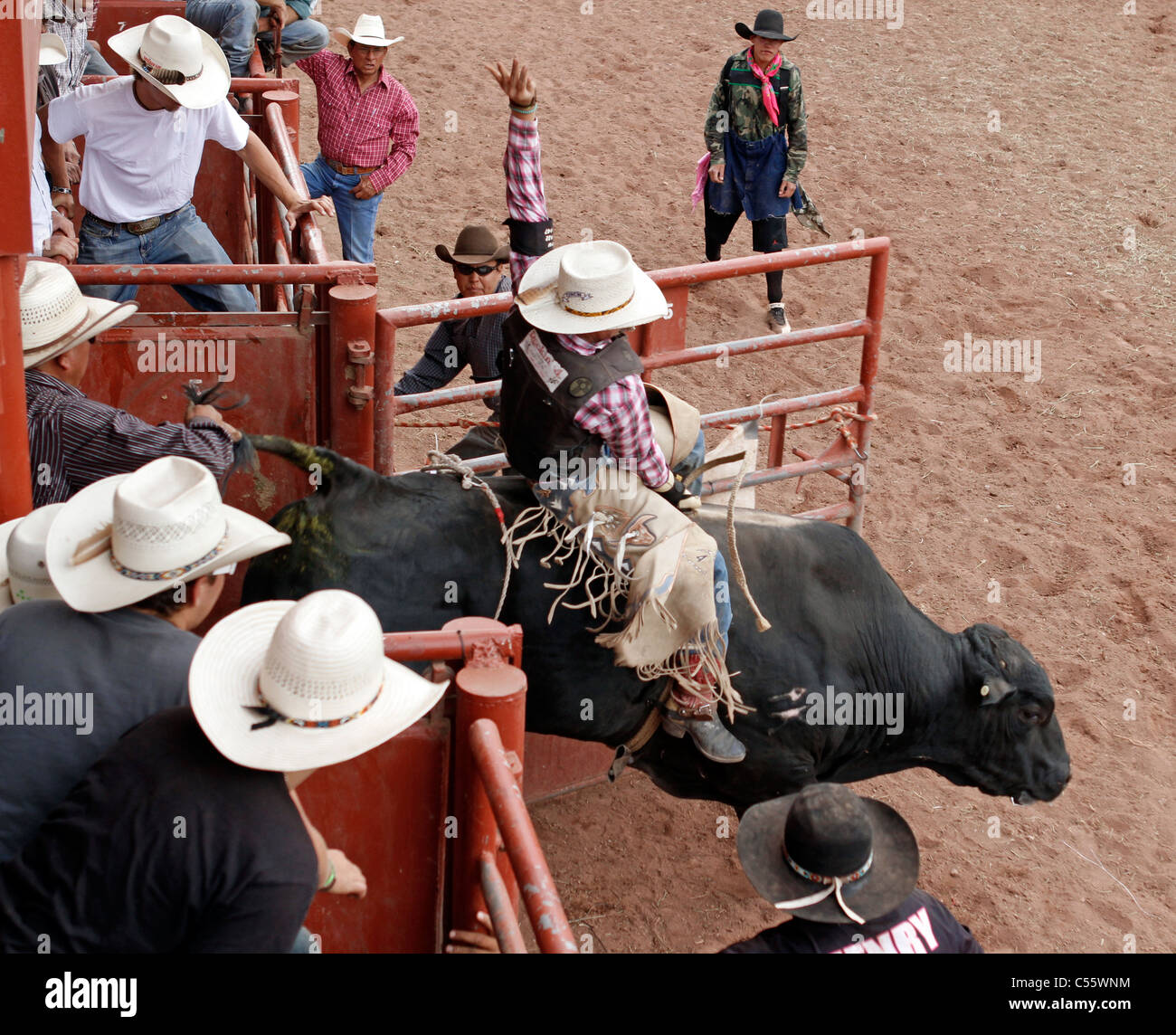 Concurrent sur le bull riding événement au rodéo indien annuel tenu à Mescalero, Nouveau Mexique. Banque D'Images