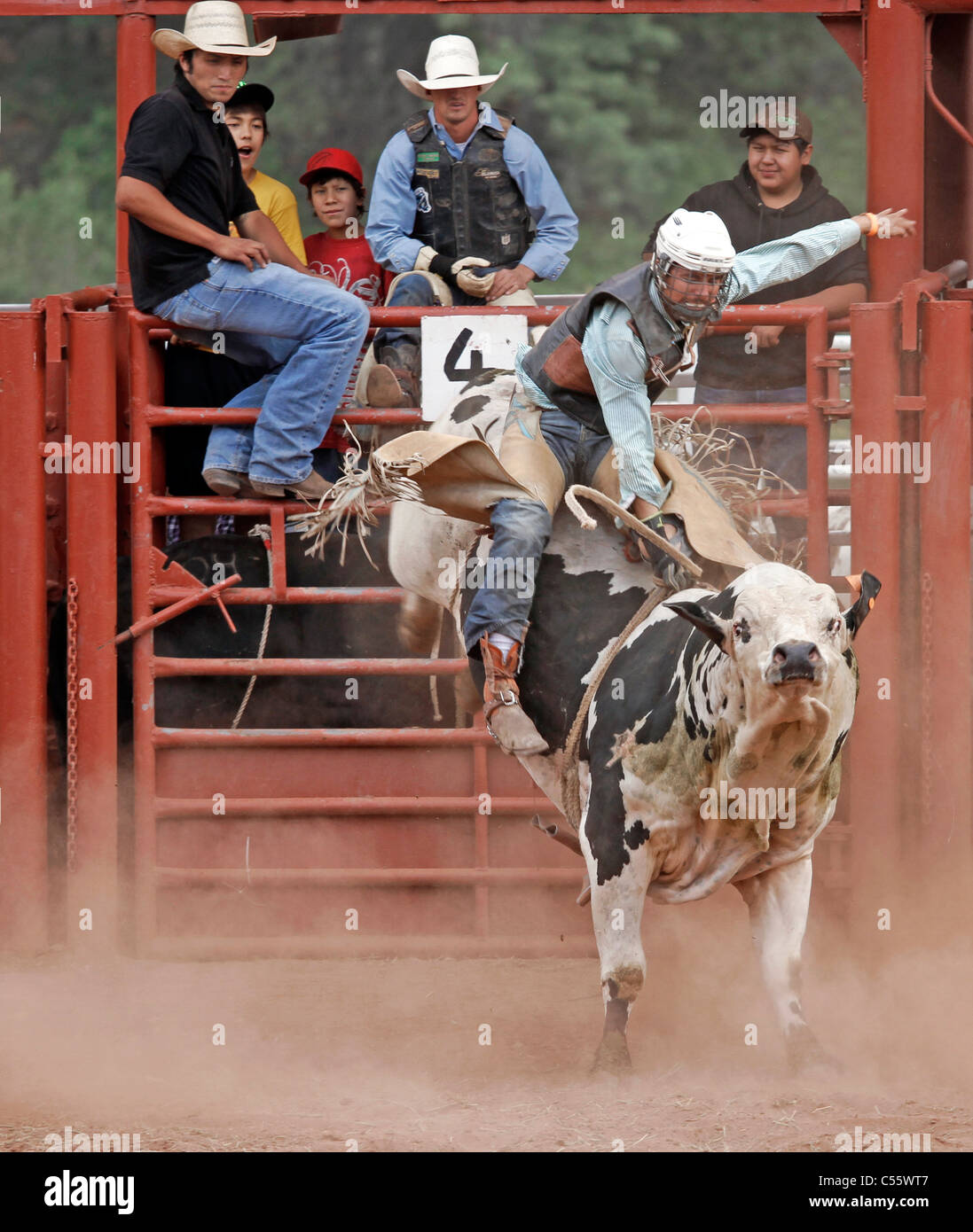 Concurrent sur le bull riding événement au rodéo indien annuel tenu à Mescalero, Nouveau Mexique. Banque D'Images