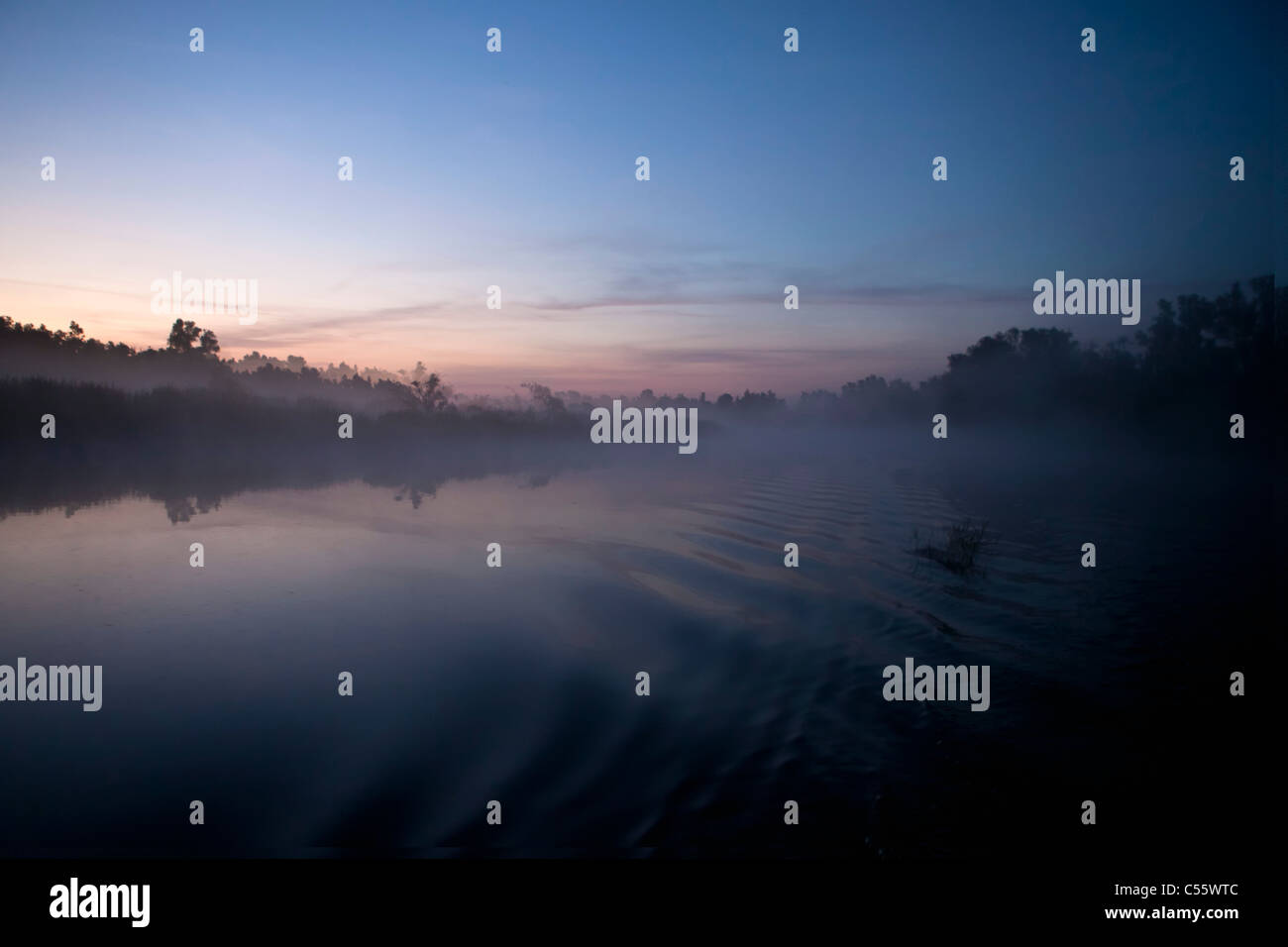 Les Pays-Bas, Amsterdam, le parc national De Biesbosch. Paysage au lever du soleil. Banque D'Images