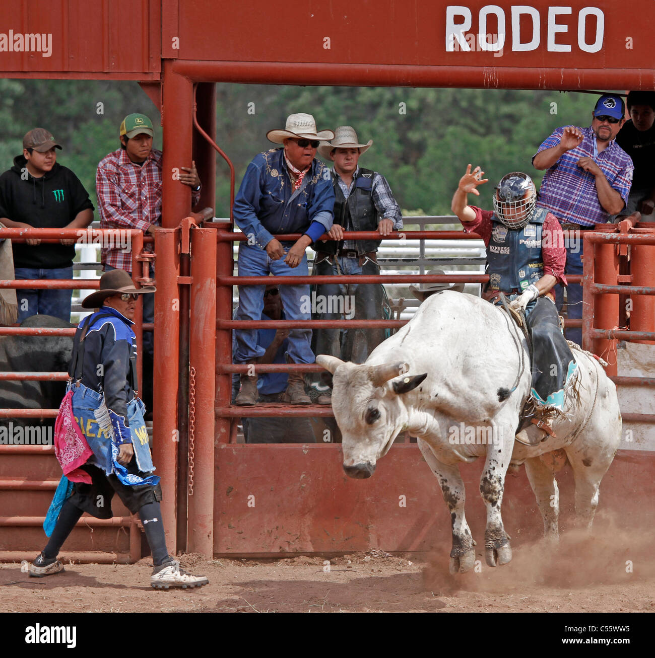 Concurrent sur le bull riding événement au rodéo indien annuel tenu à Mescalero, Nouveau Mexique. Banque D'Images