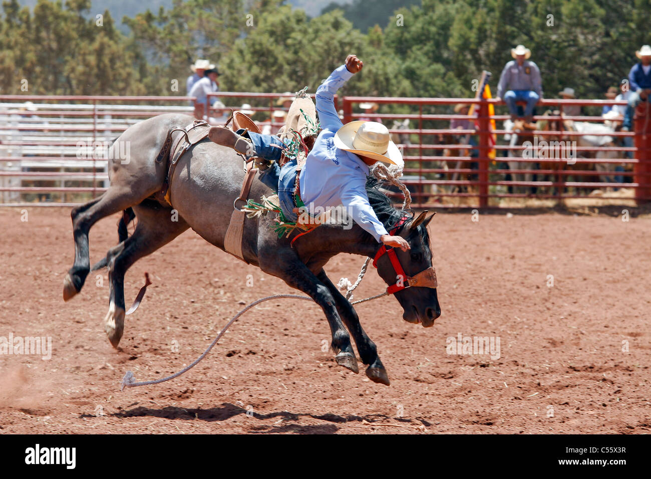 Concurrent sur le bronco riding événement au rodéo indien annuel annuel tenu à Mescalero, Nouveau Mexique. Banque D'Images