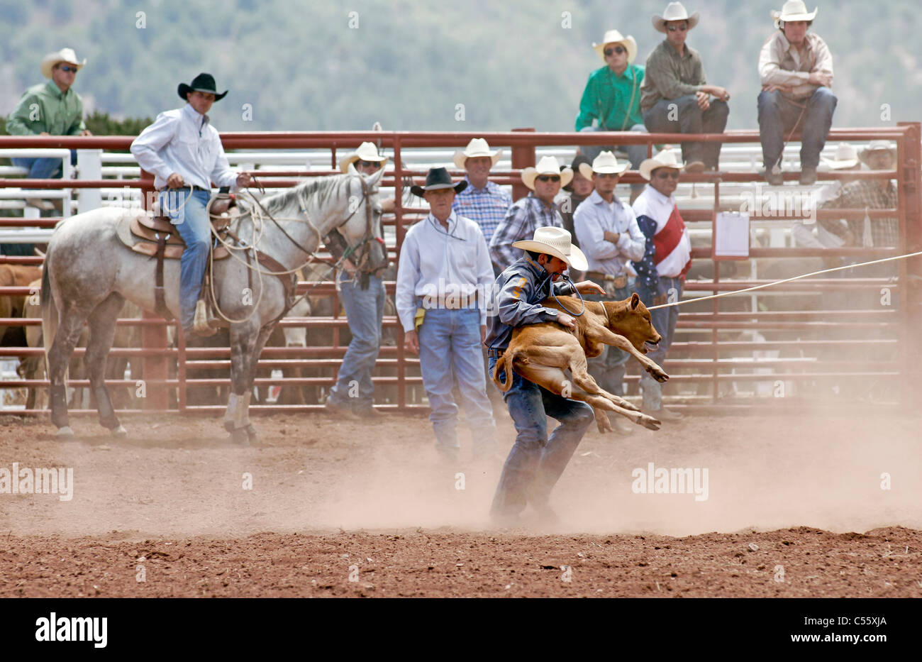 Concurrent dans le cas de veaux au lasso à l'assemblée annuelle tenue à rodéo indiens Mescalero, Nouveau Mexique. Banque D'Images