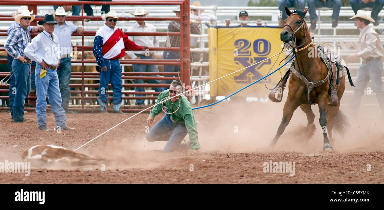 Concurrent dans le cas de veaux au lasso à l'assemblée annuelle tenue à rodéo indiens Mescalero, Nouveau Mexique. Banque D'Images