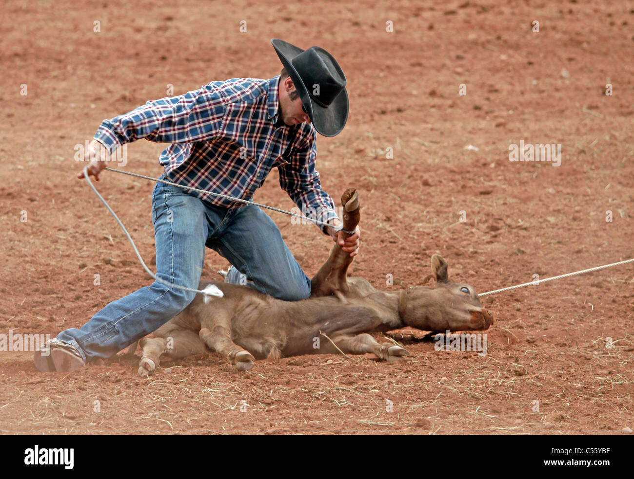 Concurrent dans le cas de veaux au lasso à l'assemblée annuelle tenue à rodéo indiens Mescalero, Nouveau Mexique. Banque D'Images