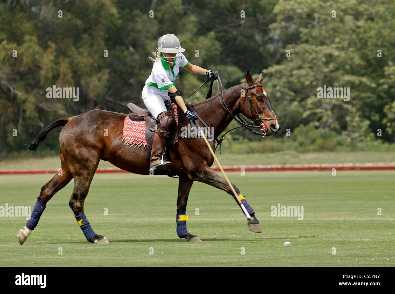 Joueur de polo femme jouant dans le tournoi de championnat de la femme (WTC) série Banque D'Images