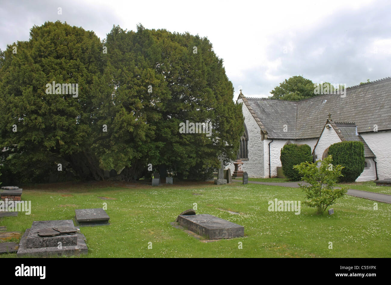 If de l'ancienne église de St par Digain dans Llangernyw au Pays de Galles Banque D'Images