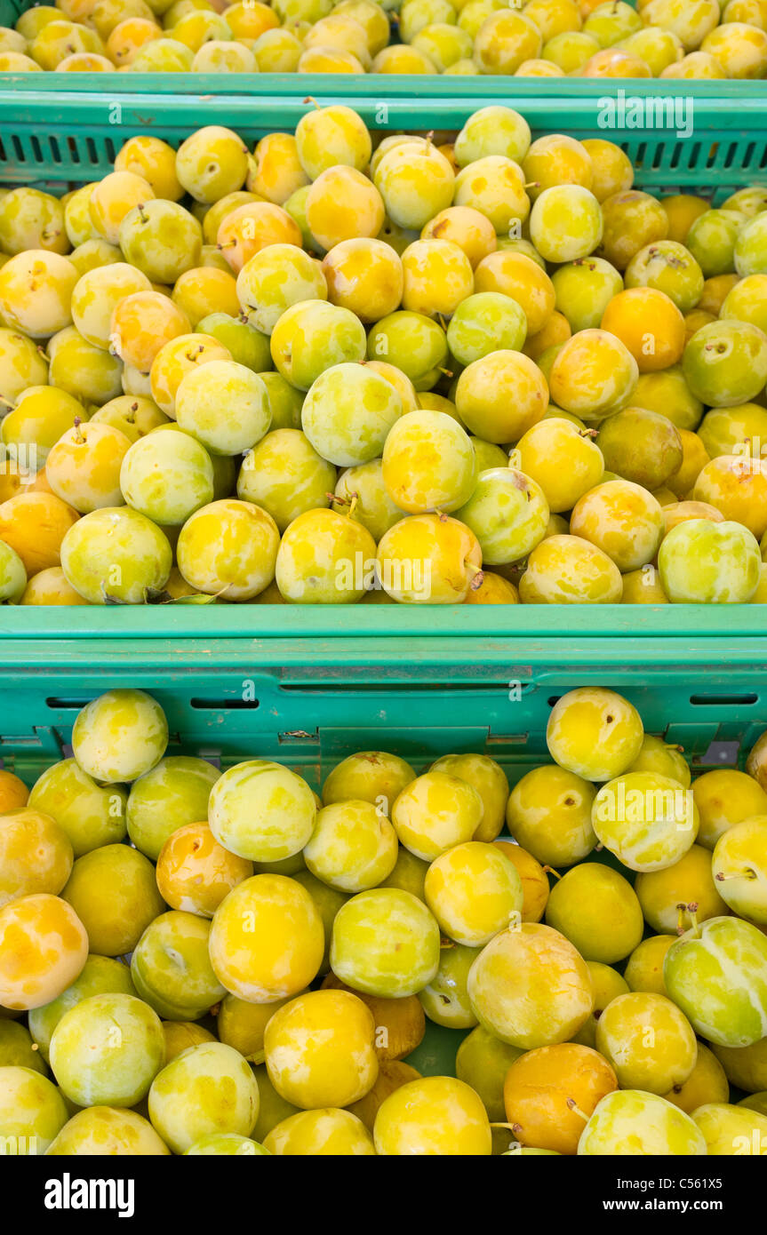 Les prunes jaunes sur un marché provençal français Banque D'Images