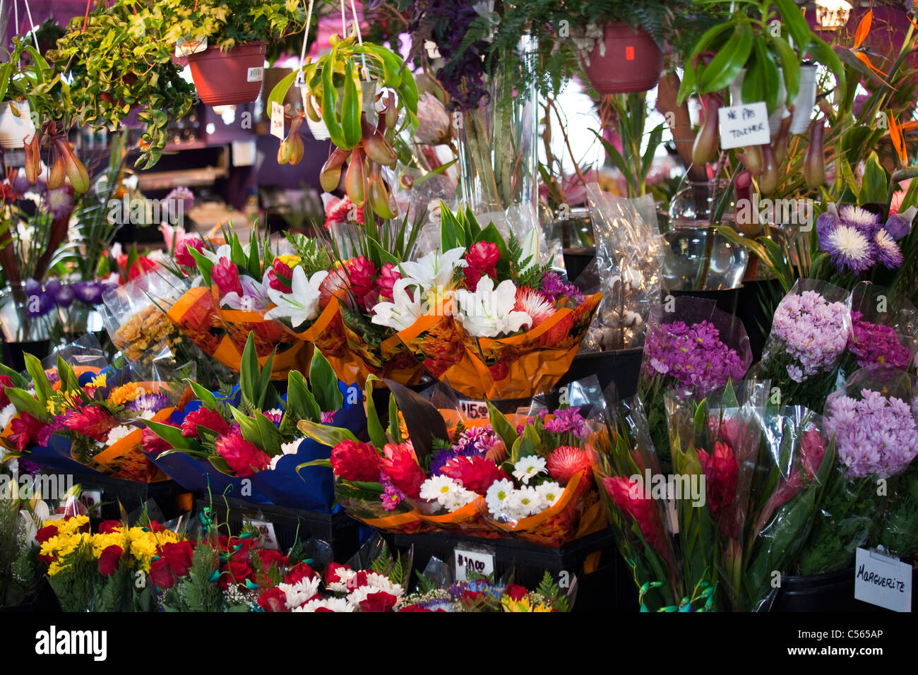 Des fleurs fraîches, le Marché Jean-Talon (mars Jean-Talon) à Montréal  Canada Photo Stock - Alamy