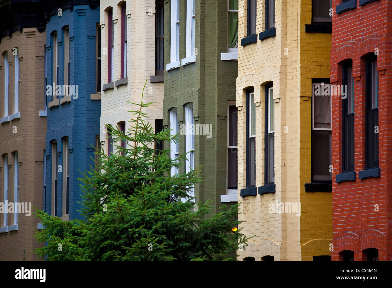 Les maisons en rangée à Washington DC Banque D'Images