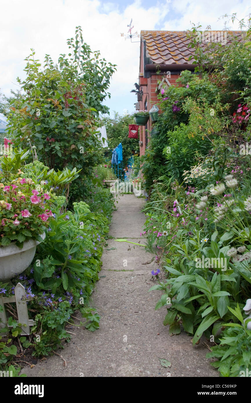 Chemin de jardin vide avec fleurs et plantes Banque D'Images