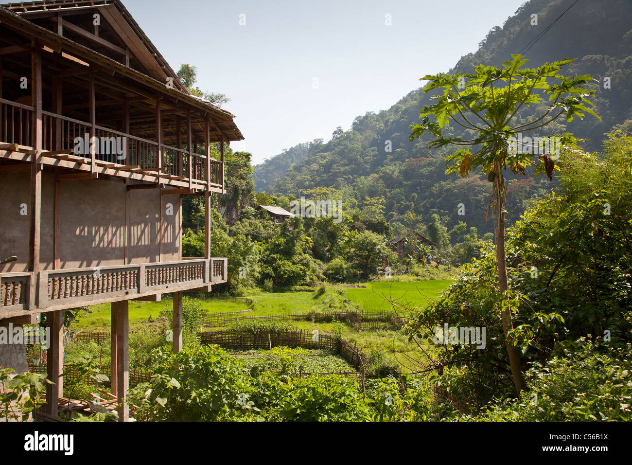 Le Vietnam du Nord, ferme sur les terres arables Banque D'Images