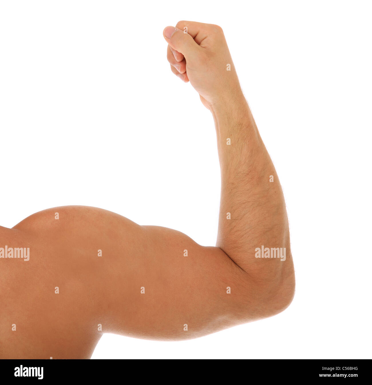 Fortement musclé bras d'un homme. Le tout sur fond blanc Photo Stock