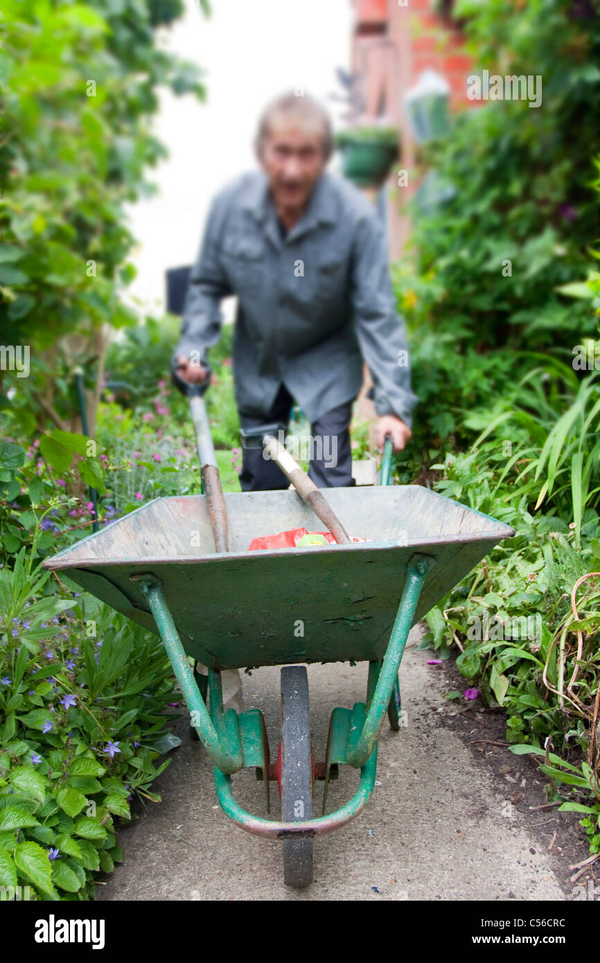 Man wheeling une brouette dans un jardin de fleurs d'été Banque D'Images