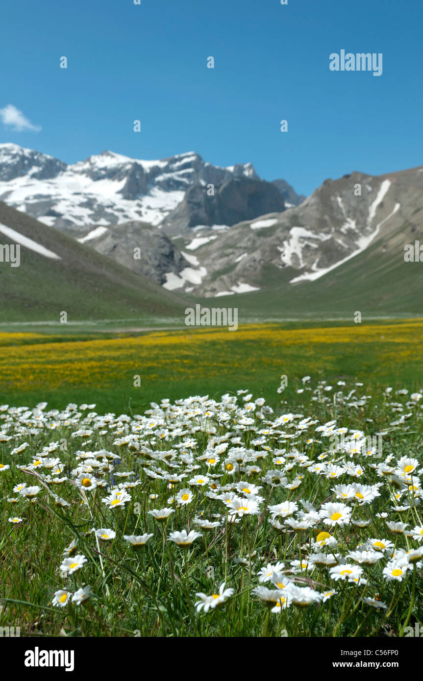 Temps de printemps à Taurus(Bolkar Montagnes) près de Pozanti,Turquie,Adana Banque D'Images