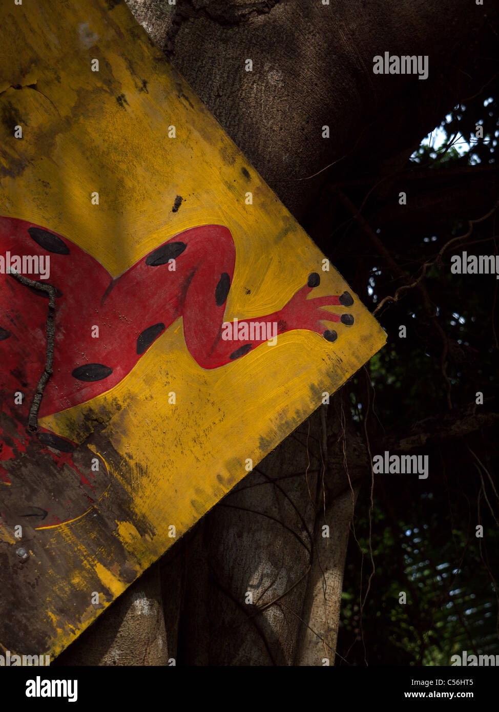 Red Frog Beach Bocas Del Toro Banque D'Images Red Frog Beach Bocas Del Toro Banque D'Images