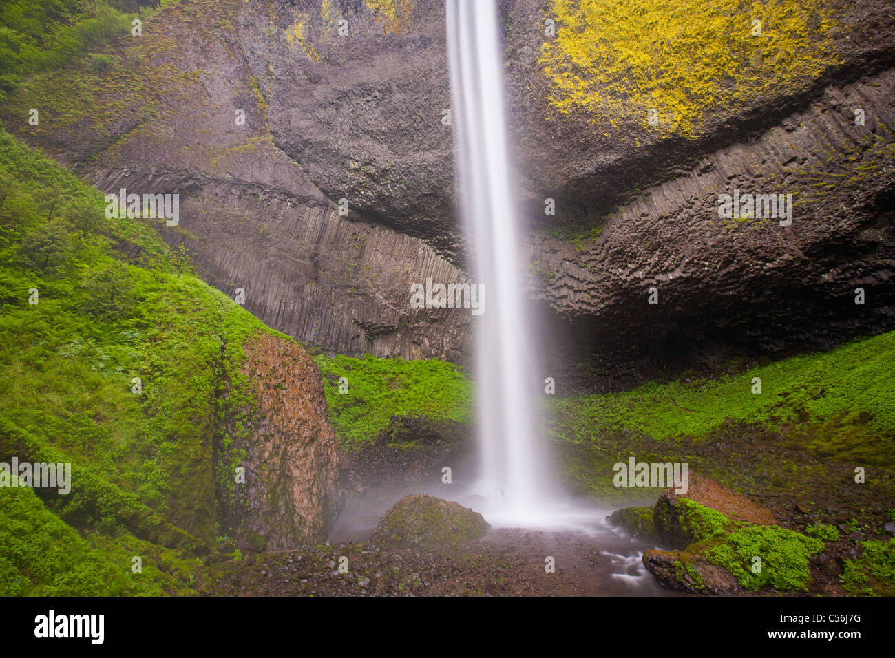 Latourell Falls, Guy W. Talbot State Park, Columbia River Gorge National Scenic Area, New York Banque D'Images