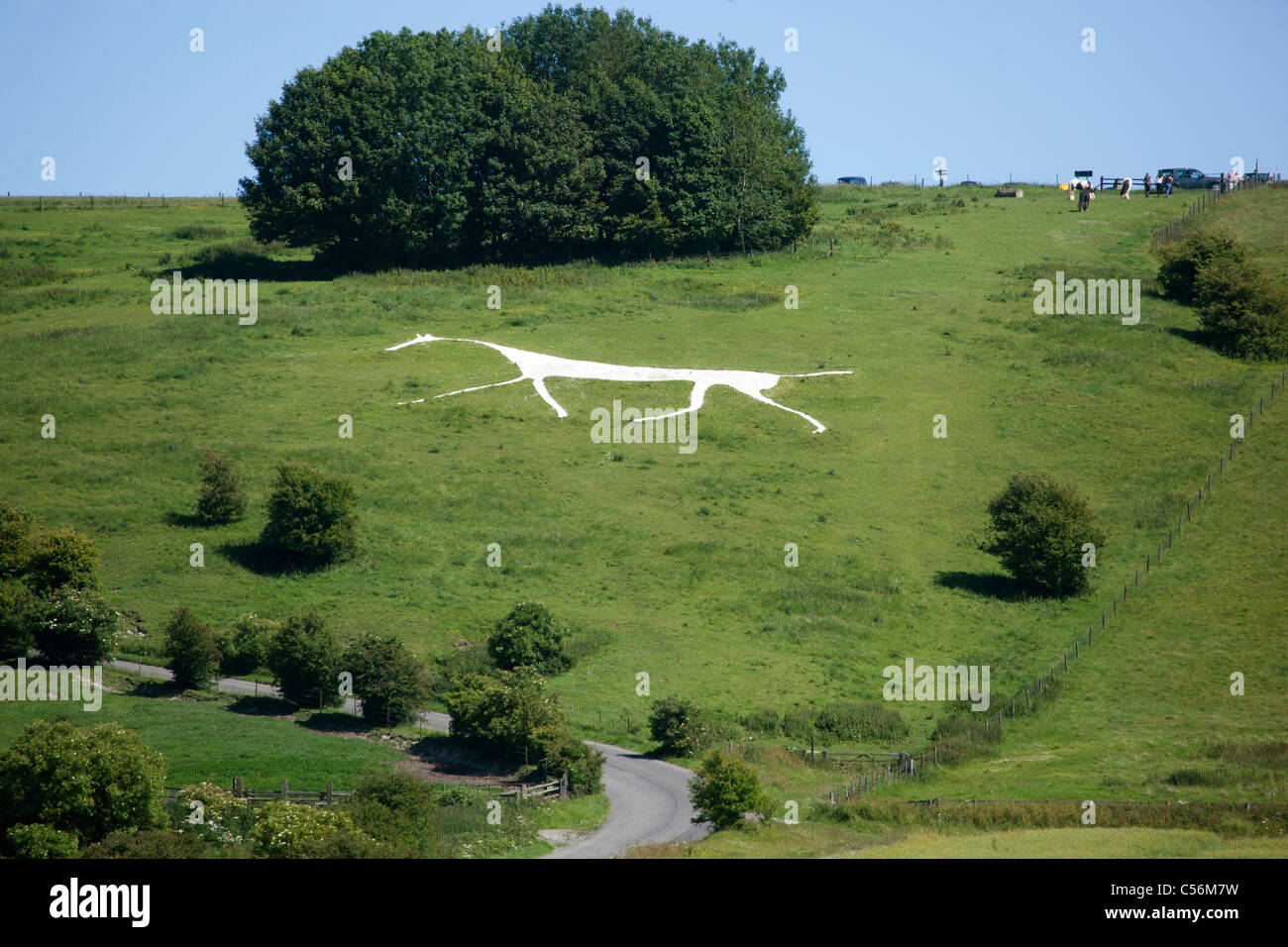 Hackpen Cheval Blanc Hackpen Hill Wiltshire England UK Banque D'Images