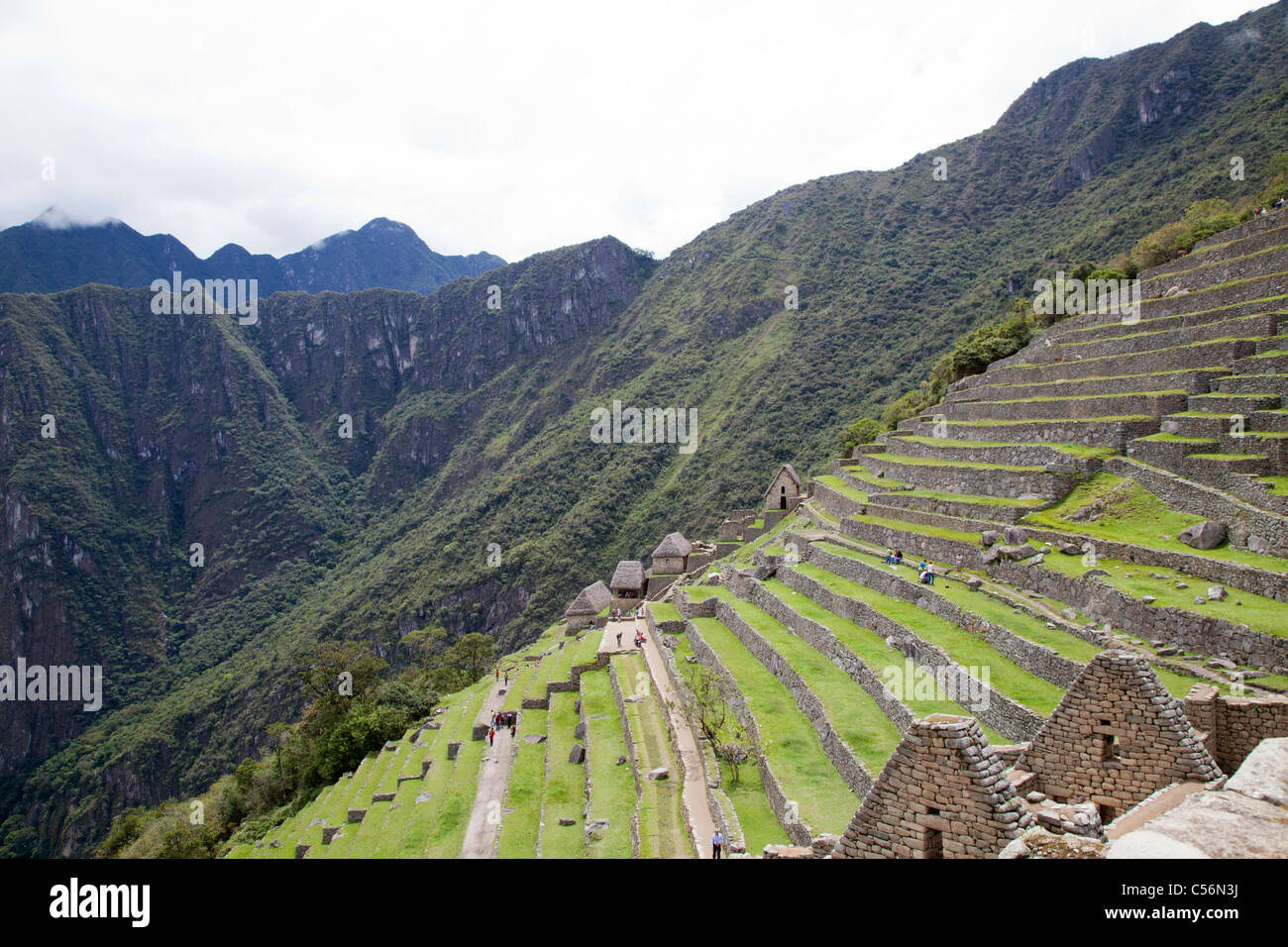 L'extraordinaire terrasses de Machu Picchu, Pérou Banque D'Images
