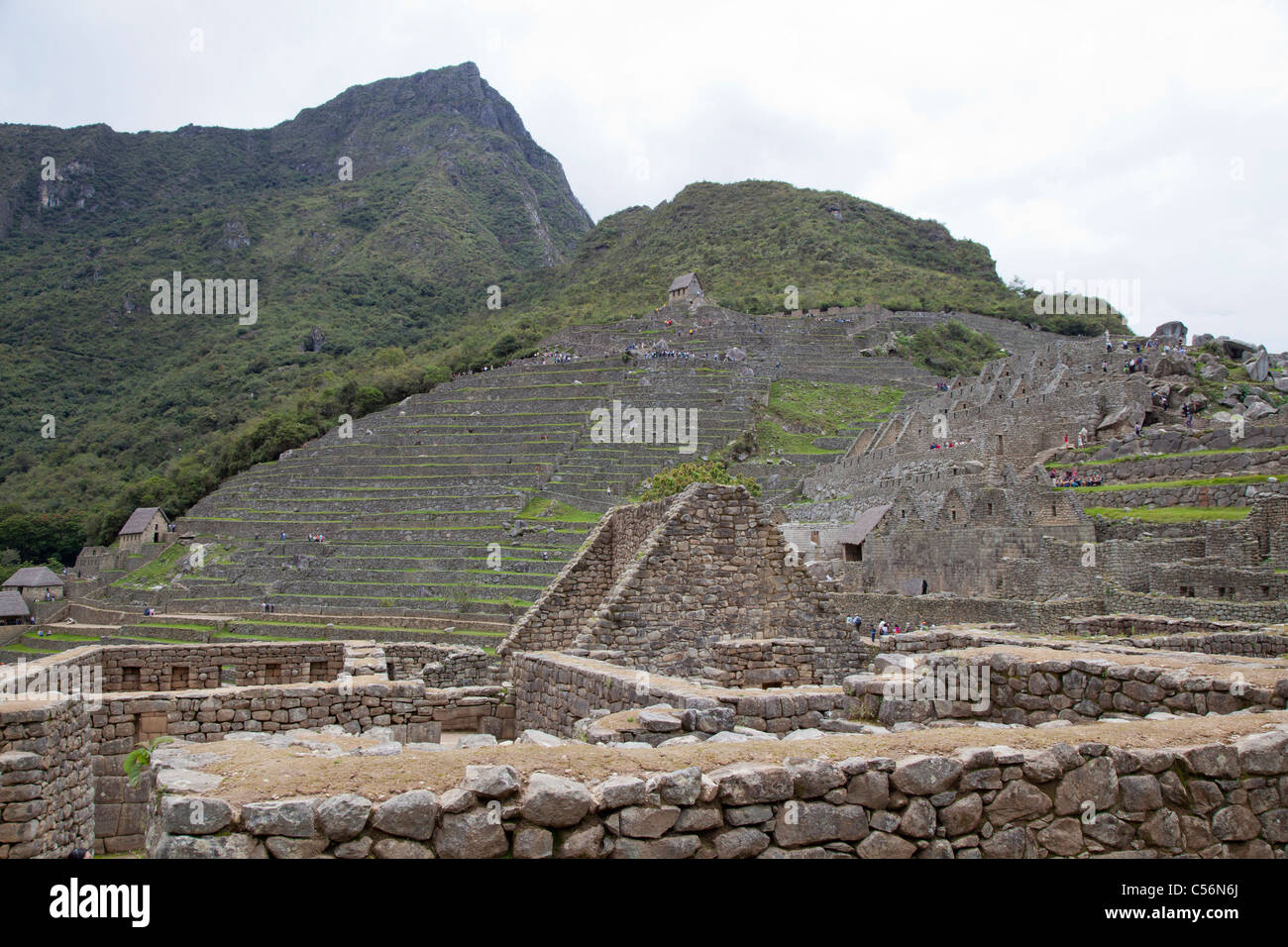 Vue sur la citadelle du Machu Picchu, à la montagne, aussi appelé Machu Picchu, Pérou Banque D'Images