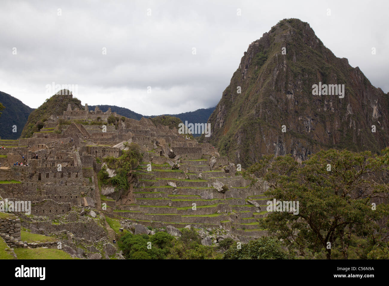 Vue sur le Machu Picchu et Huayna Picchu, Pérou Banque D'Images