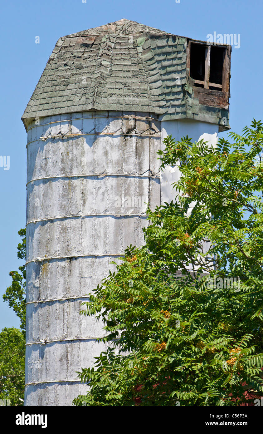 Ancien Biscuit / Ferme Et Silo En Céramique – Décor Vintage – États-Unis