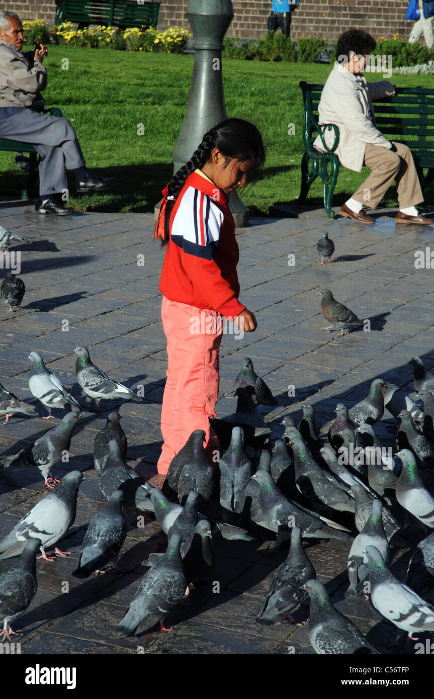 Une petite fille se nourrir les pigeons Banque D'Images