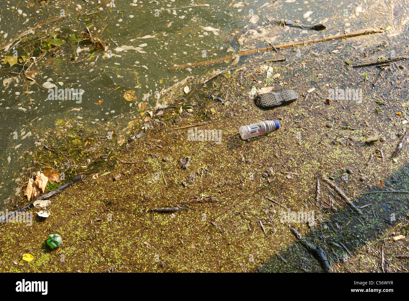 De vieilles bouteilles et de mousse dans une rivière polluée. Banque D'Images