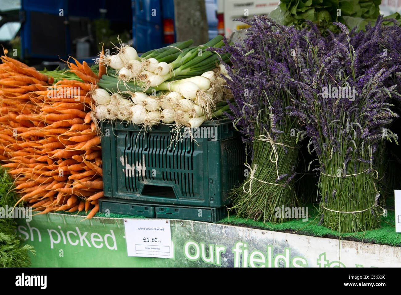 Les légumes et de lavande en vente au marché des fermiers de Winchester, Hampshire Banque D'Images