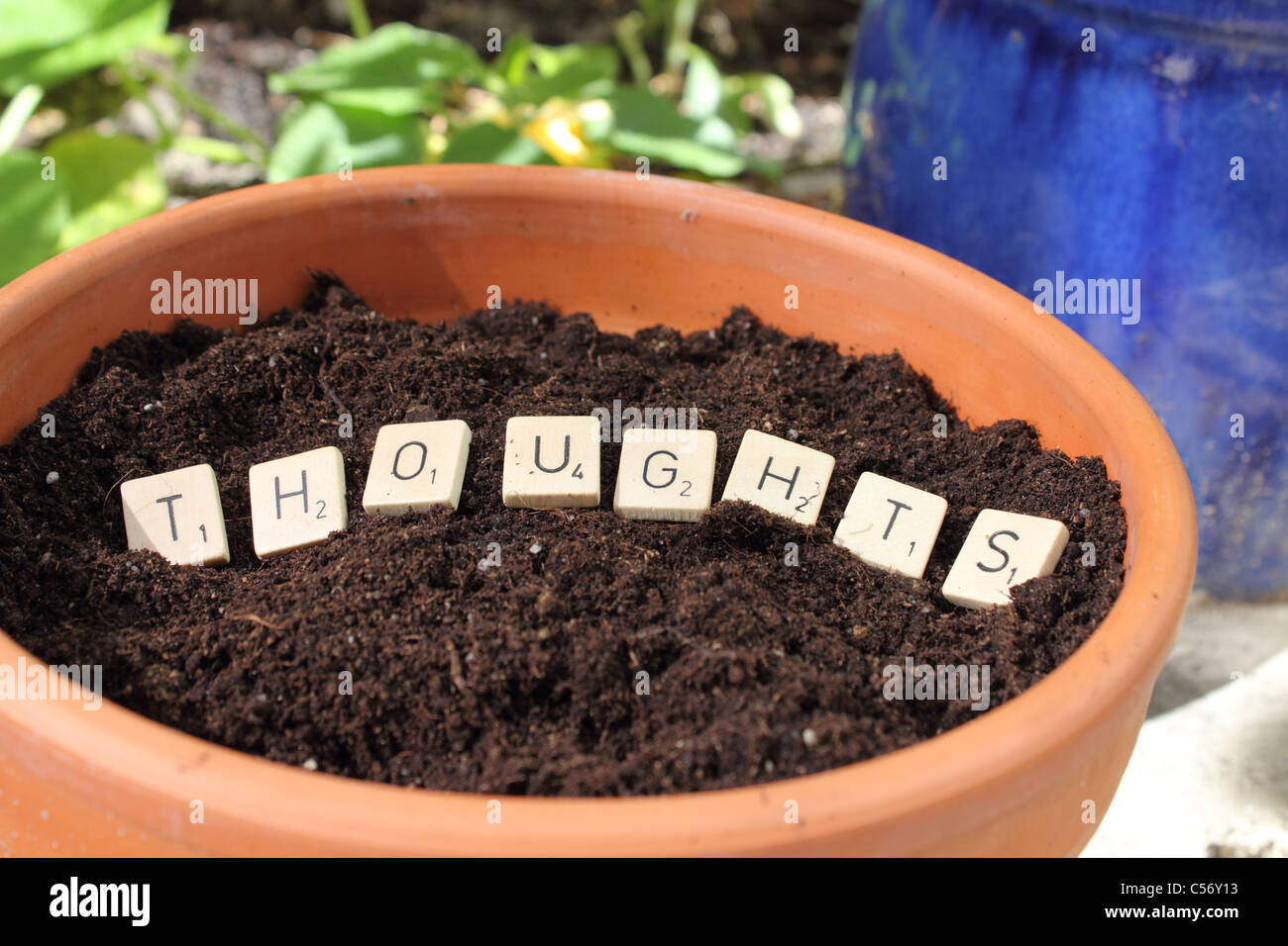 Le mot pensées dans un pot avec de la terre - pensées de plantation Photo  Stock - Alamy