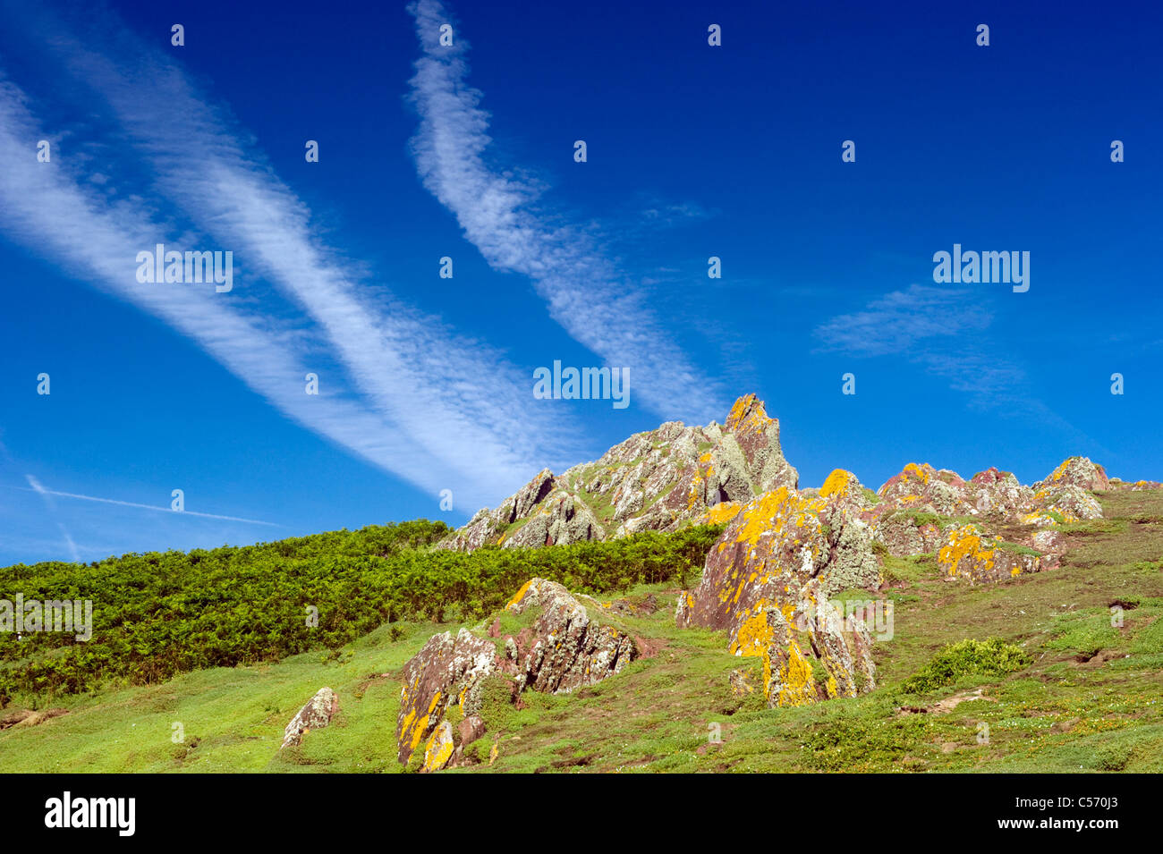 Un paysage de rochers couverts de lichen jaune contre un ciel bleu sans nuage et les sentiers sur l'île de Skokholm Galles du Sud Banque D'Images