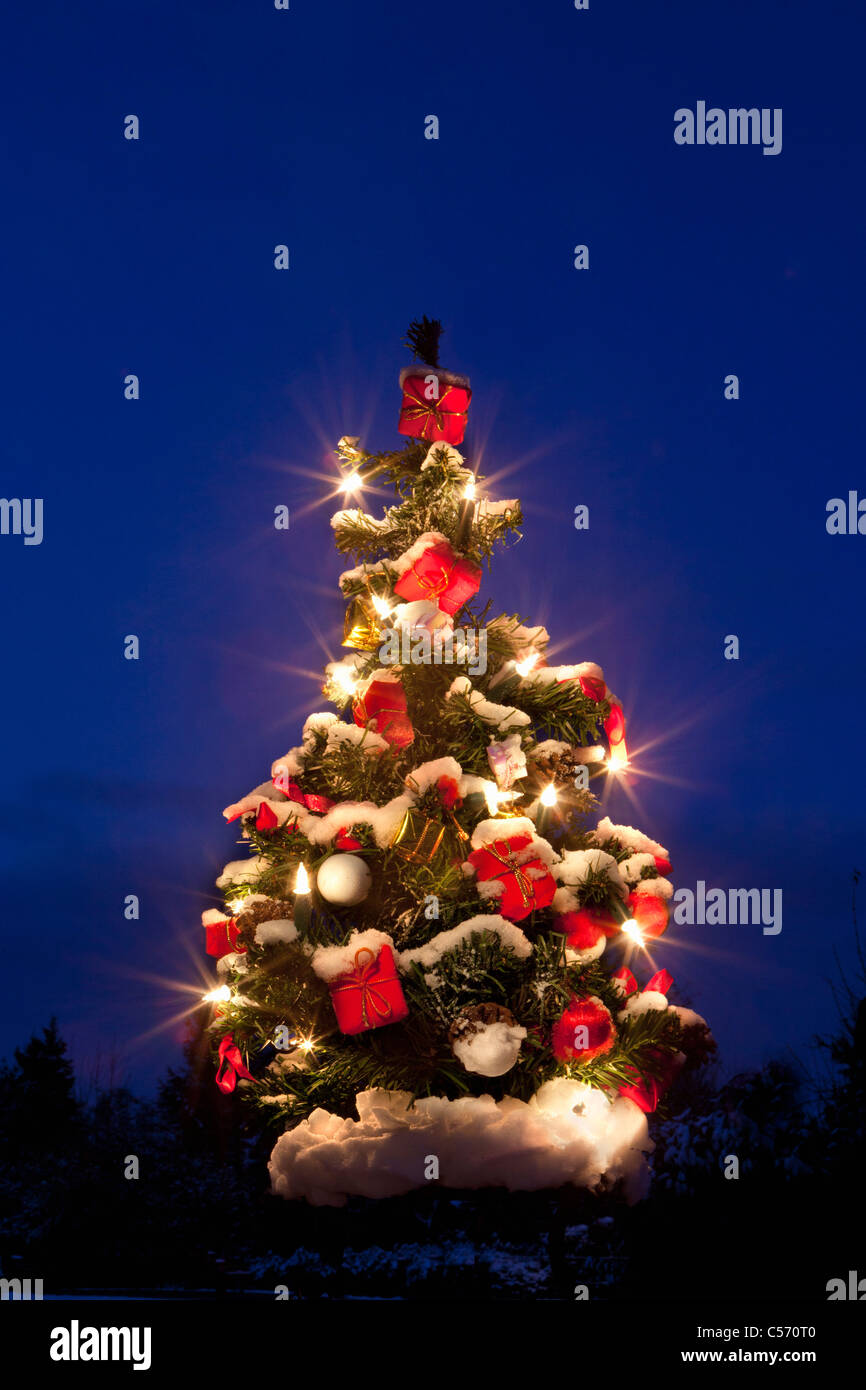 Les Pays-Bas, 's-Graveland, arbres de Noël avec des lumières dans la neige. Le crépuscule. Banque D'Images