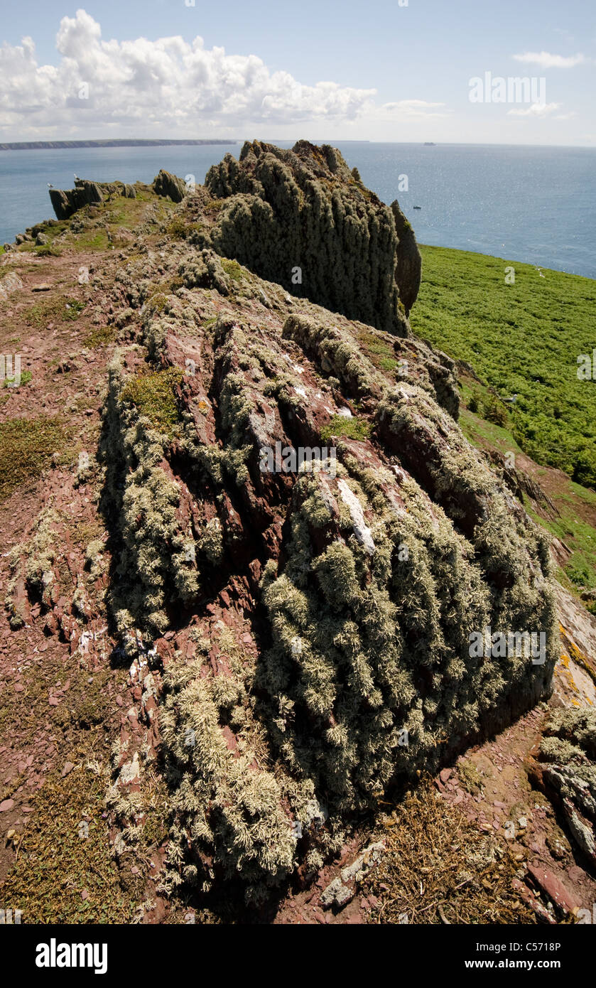 Un paysage de l'île de Skokholm à partir du dessus de Spy Rock Banque D'Images
