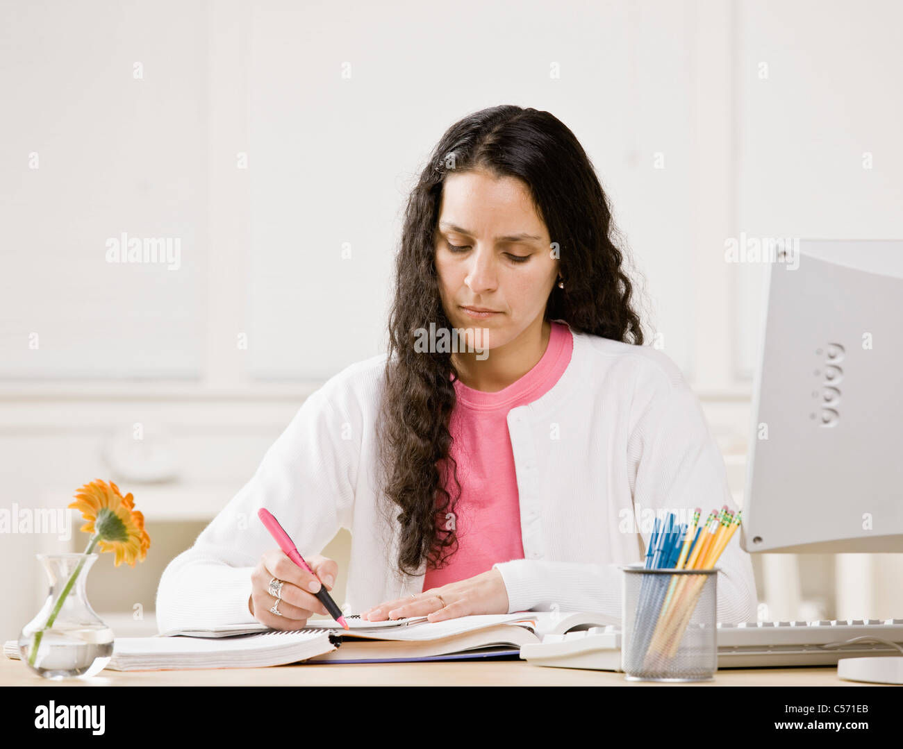 Femme étudie à l'ordinateur Banque D'Images