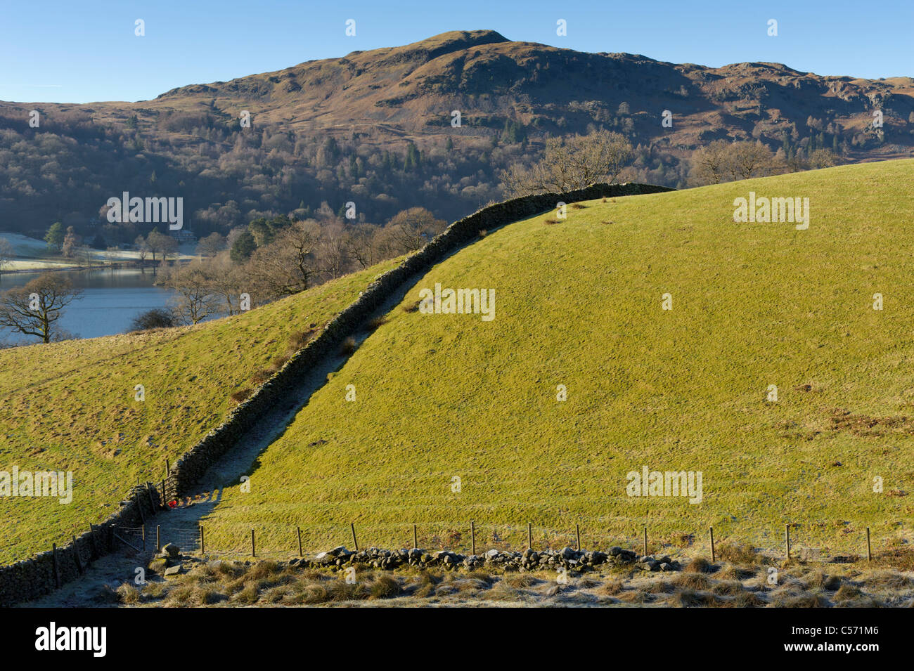Gel à l'ombre d'un mur de pierres sèches Près de Grasmere avec de l'argent comment en arrière-plan, Lake District, Cumbria Banque D'Images