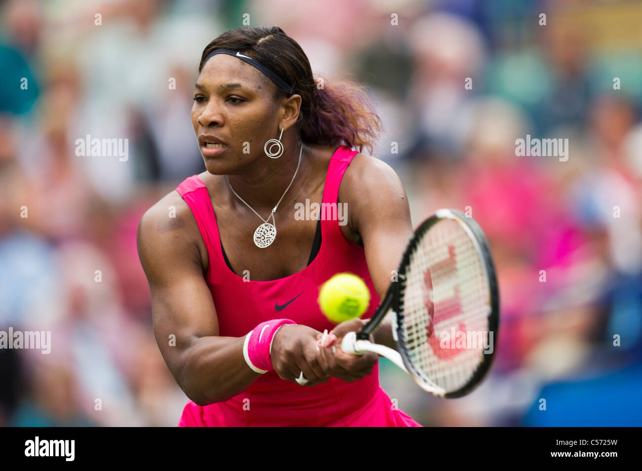 Tournoi international de tennis, Aegon 2011 Eastbourne, East Sussex. Serena Williams de USA. Banque D'Images