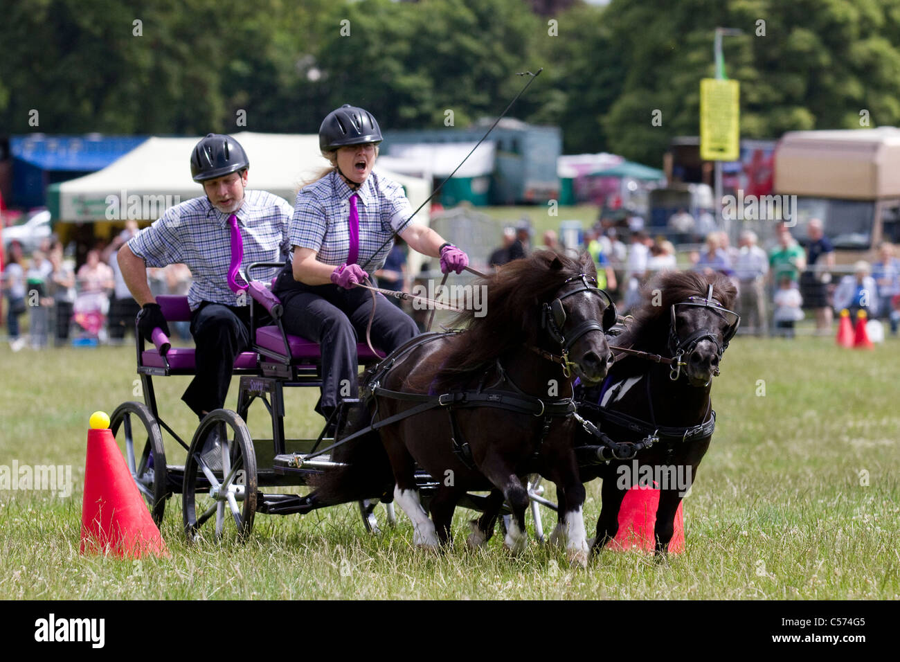 Les coureurs se précipitent à Raby Castle Game & Country Fair, Staindrop, Durham, Royaume-Uni. Courir au volant est un sport équestre où une paire de poneys tirer un chariot autour d'un cours de cônes dans une tentative pour obtenir le meilleur temps. Le nom complet de l'est sport faisceau double se précipitent au volant. Banque D'Images