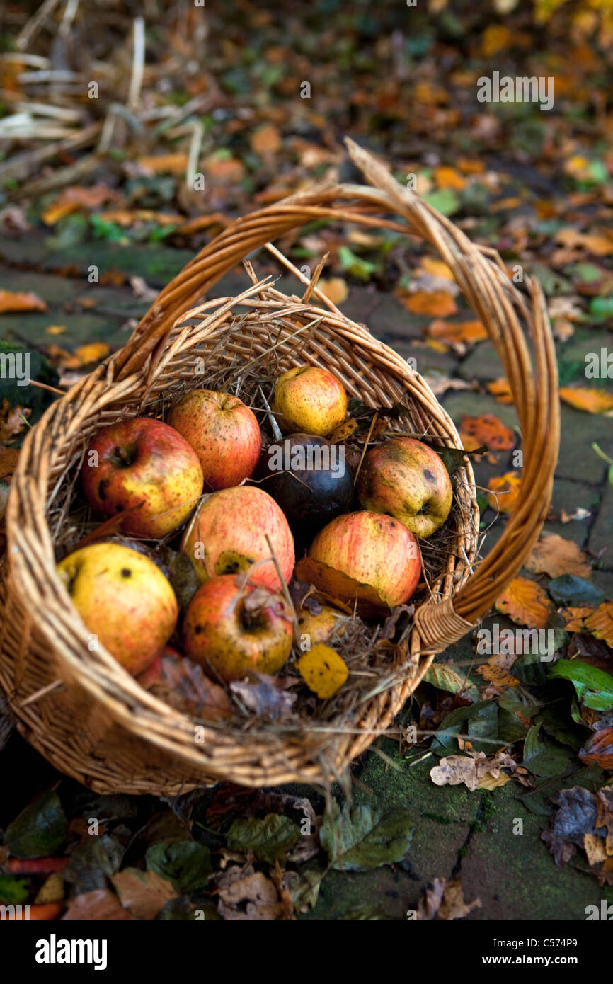 Les Pays-Bas, près d'Ootmarsum. Croix avec image de Jésus Christ le long de la route. Comme offrandes de fruits. Banque D'Images