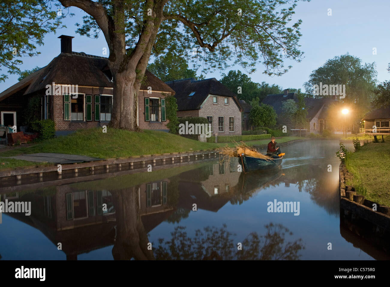 Les Pays-Bas, Dwarsgracht, près de Giethoorn. Village avec presque seulement d'eau. Maisons à l'aube. Le transport d'agriculteur reed pour roofconstruction. Banque D'Images