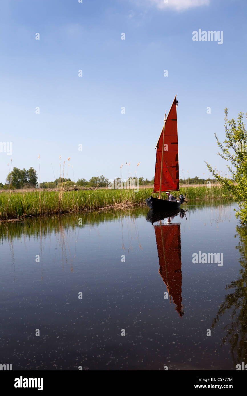 Les Pays-Bas, Kalenberg, Petit bateau à voile, appelée en Zeilpunter Giethoornse appelé parc national de Weerribben-Wieden. Banque D'Images