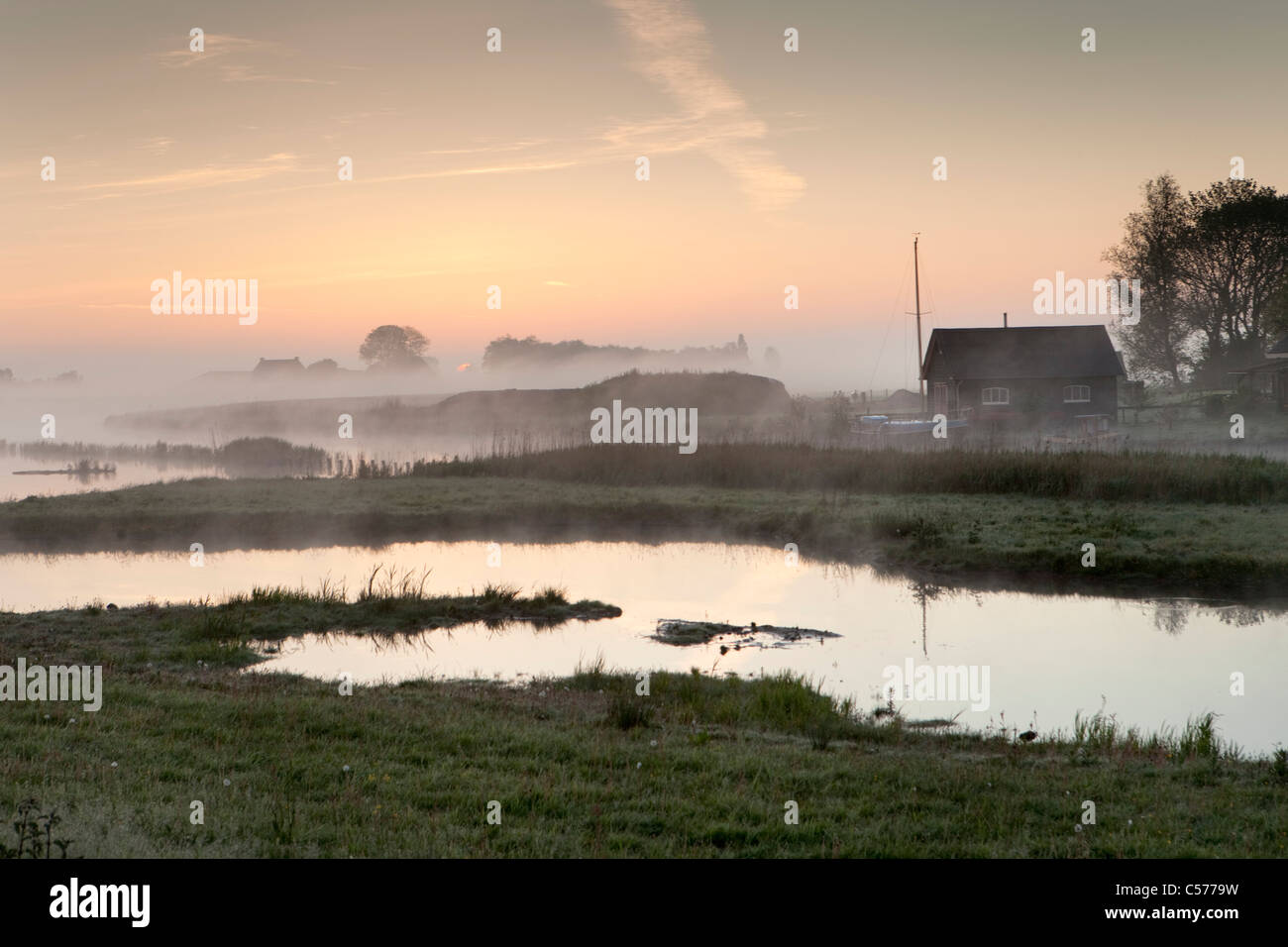 Les Pays-Bas, Ossenzijl, ferme dans la brume du matin. Banque D'Images