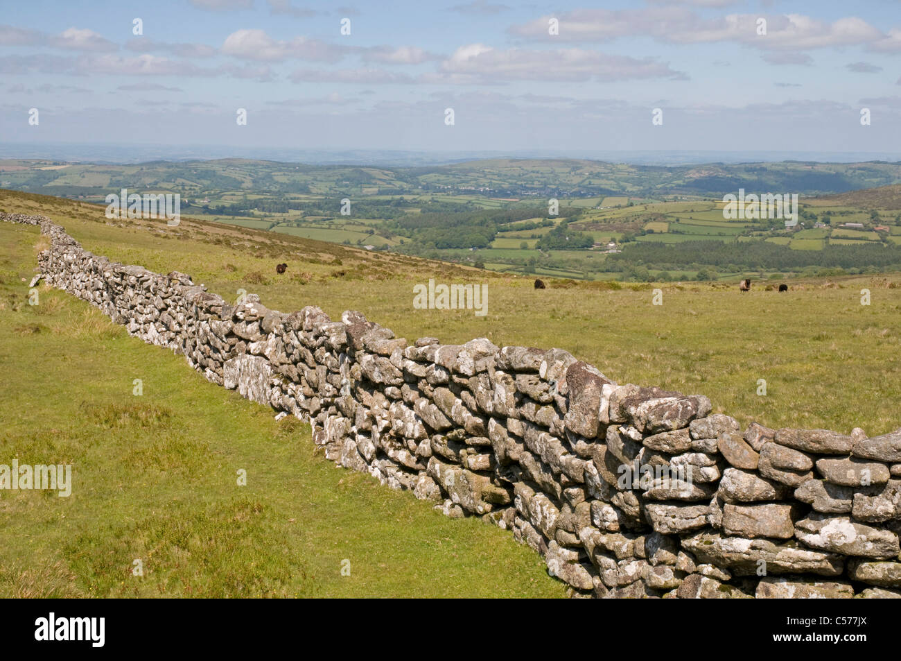 À au nord-est d'une position proche de l'Hookney Tor sur Dartmoor, avec le vieux bourg de Mortenhamptead dans la distance Banque D'Images