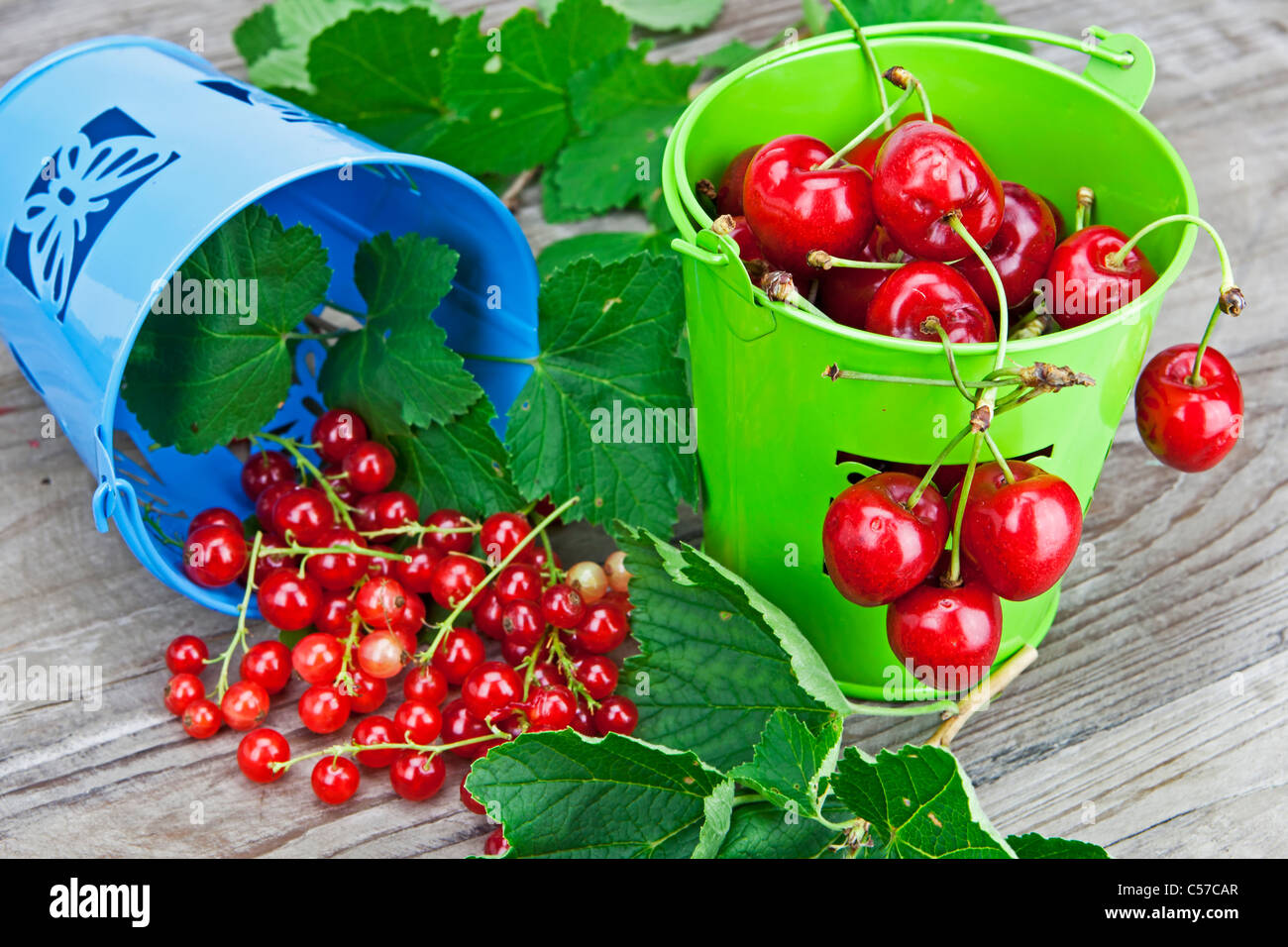 Les cerises et les raisins de Corinthe dans de petits seaux directement après la récolte Banque D'Images