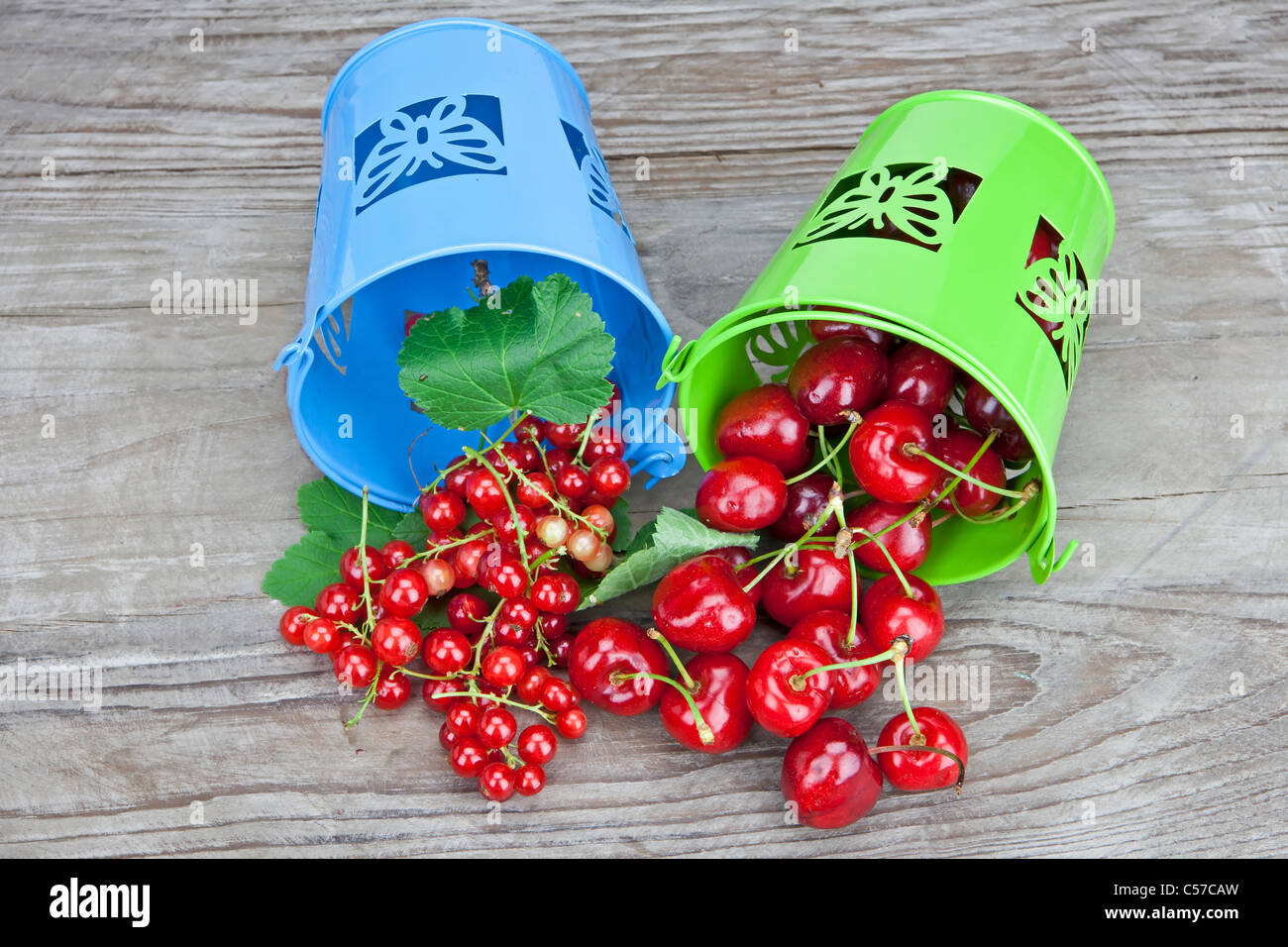 Les cerises et les raisins de Corinthe dans de petits seaux directement après la récolte Banque D'Images