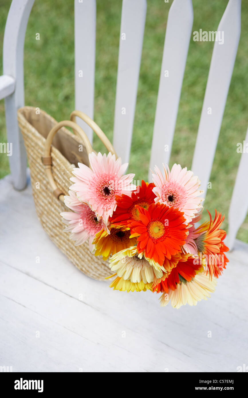 Tournesols dans le sac Banque D'Images