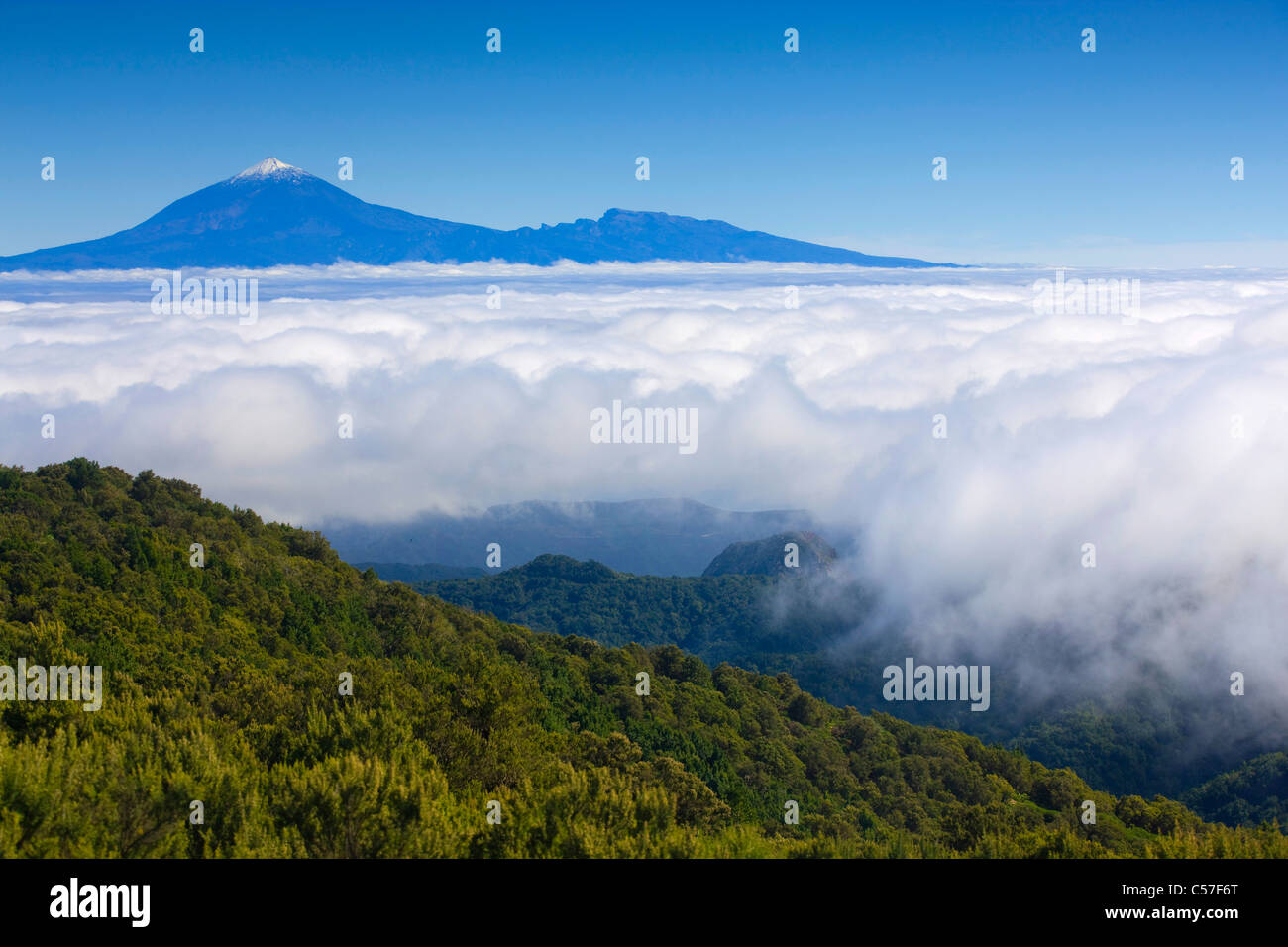 Voir, De, El Teide, Espagne, Europe, îles Canaries, Îles britanniques, La Gomera, island, île, montagne, volcan, mer de brume, bois, forêt, Banque D'Images