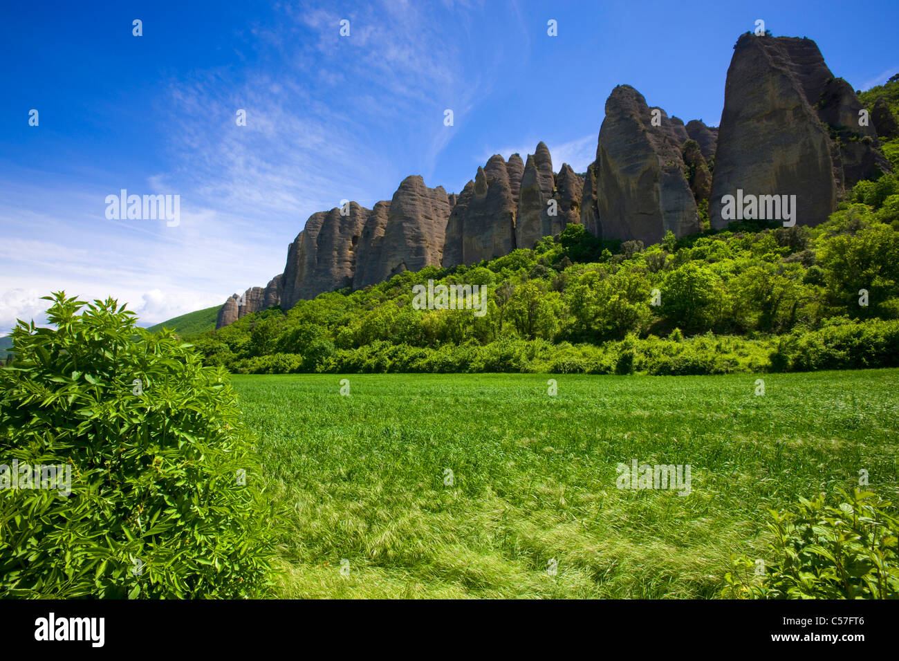 Les Mees, France, Europe, Provence, Alpes-de-Haute-Provence, champ, bois, forêt, rock, falaise, érosion Banque D'Images