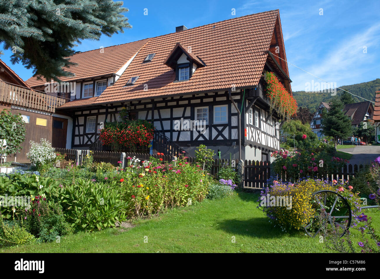 Bauernhaus und Bauerngarten, Blumengarten dans Sasbachwalden, agriculteur Maison et jardin fleuri Banque D'Images