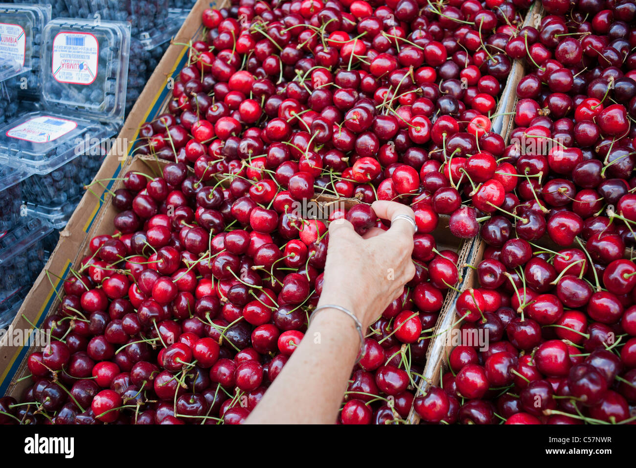 Un client choisit de cerises cerises dans un supermarché à New York le dimanche, Juillet 10, 2011. (© Richard B. Levine) Banque D'Images